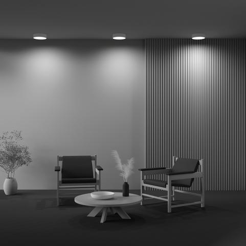 Потолочный светильник Maytoni Technical Ceiling 3000K Zon C032CL-24W3K-RD-MG