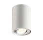 Накладной светильник Odeon Light Pillaron 3564/1C