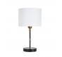 Настольный светильник Arte Lamp Jamie A4090LT-1BK
