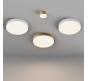 Потолочный светильник Maytoni Technical Ceiling 3000K Zon C032CL-45W3K-RD-W